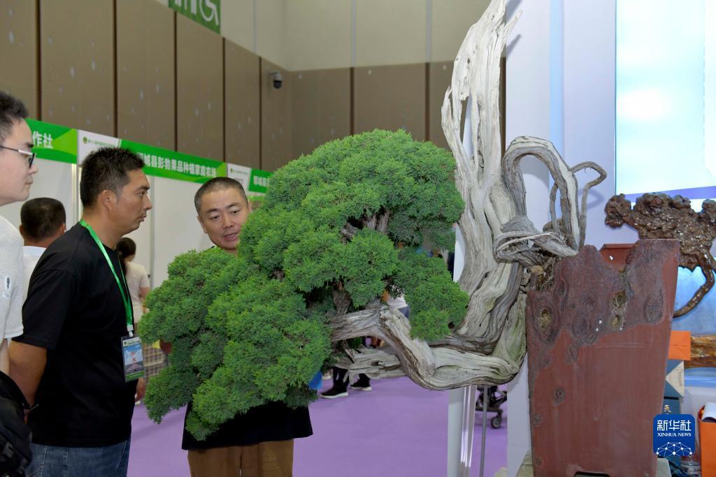 美高梅快速线上